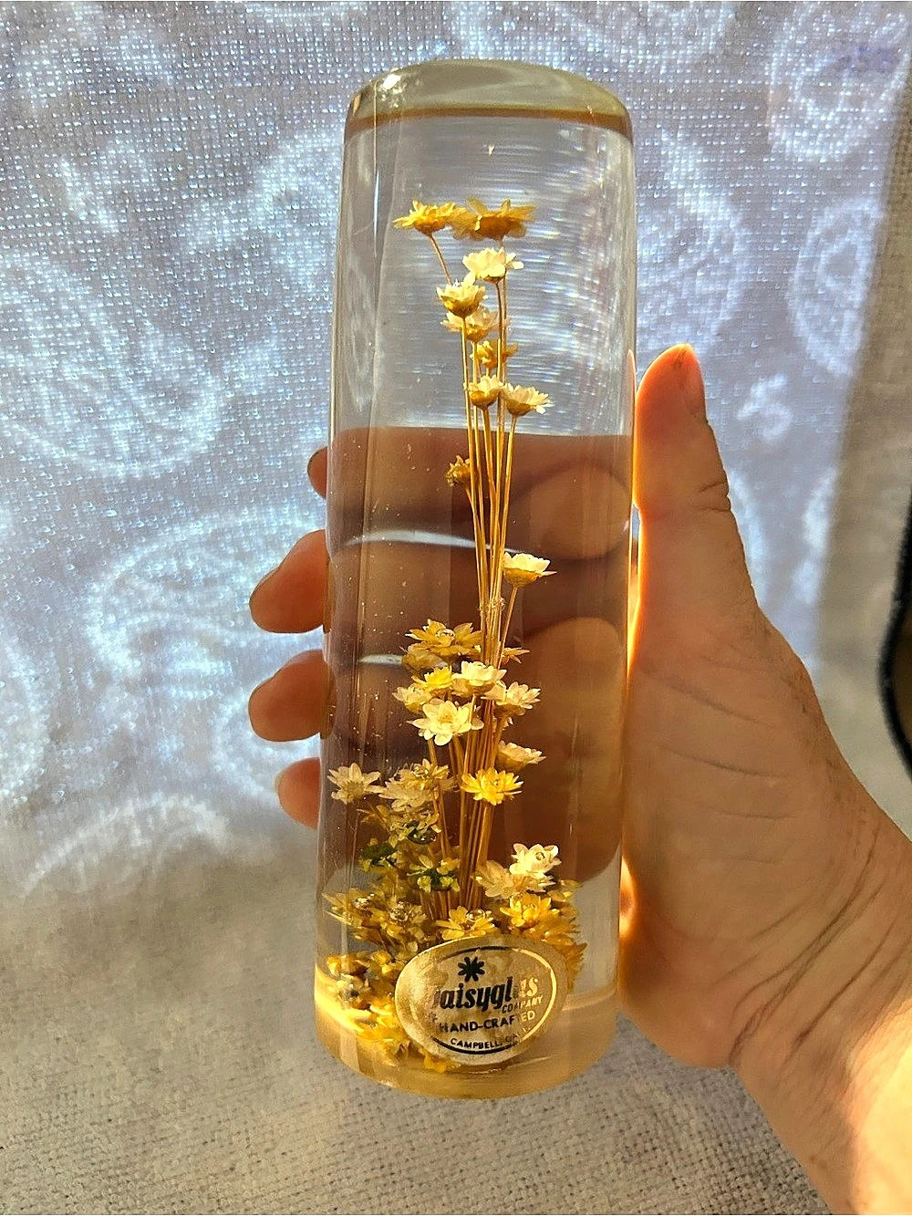 Designs by DeLisi Dried Floral Arrangement in Clear Cylinder